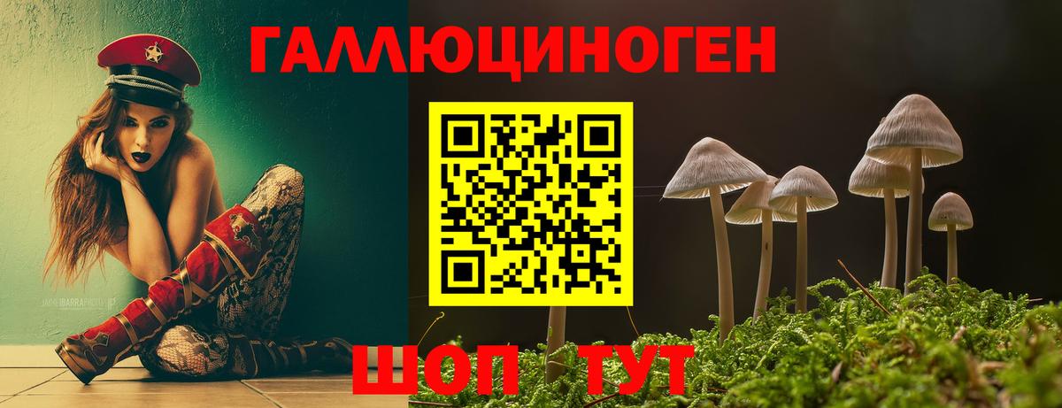 Псилоцибиновые грибы Cubensis  Вход с VPN  Петрозаводск 